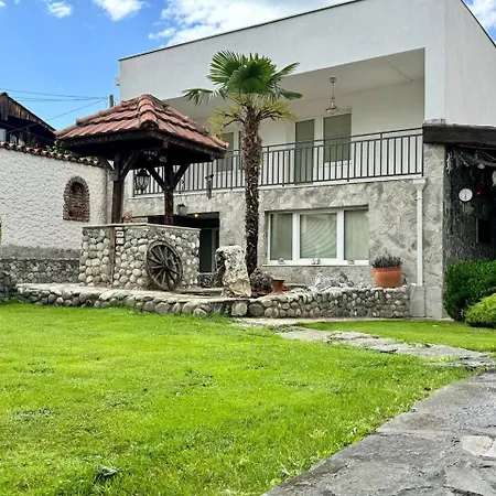 Orman *